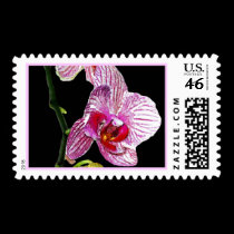 Dramatic Orchid - Postage postage