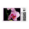 Dramatic Orchid - Postage postage