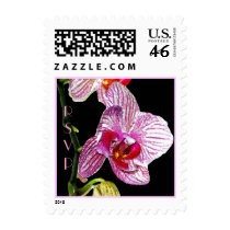 Dramatic Orchid - Postage stamps