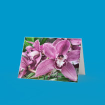 Dramatic Pink Orchid - Happy Mother's Day cards