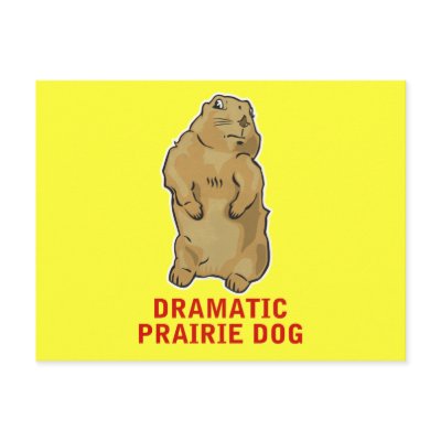 dramatic prairie dog look
