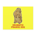 Dramatic Prairie Dog Postcards