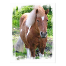 Draught Horse Postcard