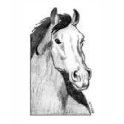 drawing of a horse (black and white) t-shirt by kkincade12 drawing of a horse (black and white) t-shirt by kkincade12