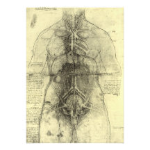 Drawing of a Woman's Torso by Leonardo da Vinci Custom Announcements