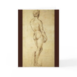 Drawing of Michelangelo's David by Raphael cards