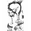Drawing of parts of the human brain t-shirts by LeonardoDaVinci Drawing of parts of the human brain t-shirts