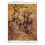 Drawing of the heart and its blood vessels cards