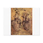 Drawing of the heart and its blood vessels postcard