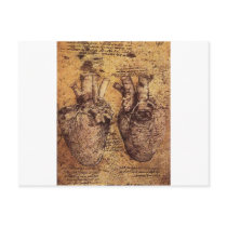 Drawing of the heart and its blood vessels postcard