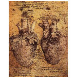 Drawing of the heart and its blood vessels t-shirts