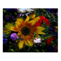 Dream a Little Dream . . . posters by sukimerk Dream a Little Dream . . . posters