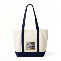 Dream Bag bags
