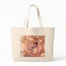 dream bags
