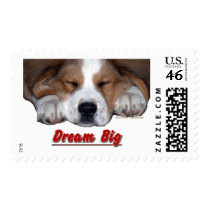 Dream Big Dog Postage
