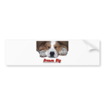 Dream Big Sleeping St. Bernard Mix Bumper Stickers