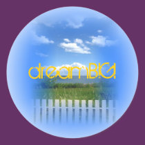 Dream Big stickers