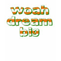 Dream Big t-shirts