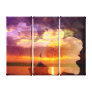 Dream Stretched Canvas Print