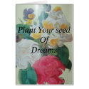 Dream carnations cards