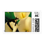 Dream Cat Postage
