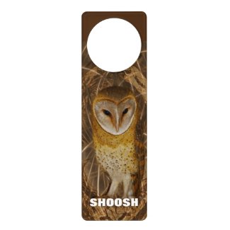 Dream catcher owl door knob hanger