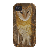 Dream catcher owl iPhone 4/4S cases
