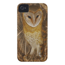 Dream catcher owl iPhone 4 Case-Mate cases