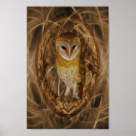 Dream catcher owl posters