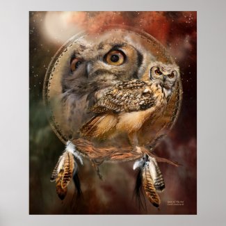 Dream Catcher Series Spirit Of The Owl Poster