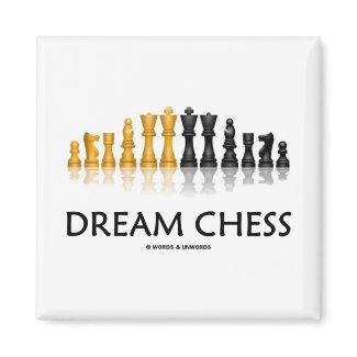 Dream Chess (Reflective Chess Set) magnet