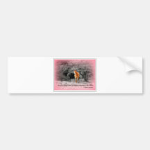 Dream Horse Bumper Stickers
