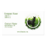 Dream Horse Business Card