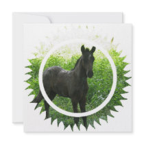 Dream Horse Invitation