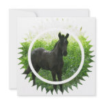 Dream Horse Invitation