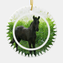 Dream Horse Ornament