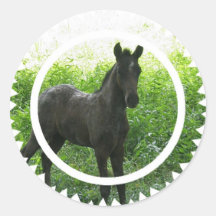 Dream Horse Sticker