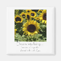 Dream Into Being magnets