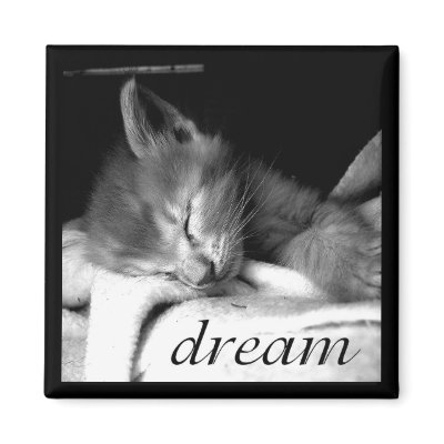 Dream Kitten - Magnet by gabycat