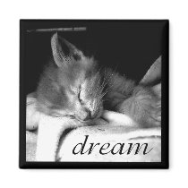 Dream Kitten - Magnet by gabycat Dream Kitten - Magnet