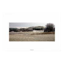 Dream Landscape posters