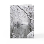 Dream of Winter Cards
