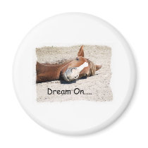Dream On Horse magnets by BowNRanch Dream On Horse magnets
