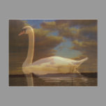 Dream on postcards