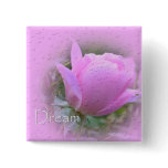 Dream-Pink Rose Dream-Pink Rose
