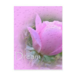 Dream-Pink Rose Postcard