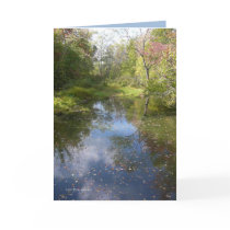 Dream Pond cards by MoiraAshleigh Dream Pond cards