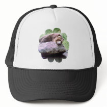 Dream Pool Bear Hat by buffaloworks Dream Pool Bear Hat