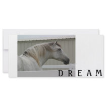 DREAM CUSTOM RACK CARDS