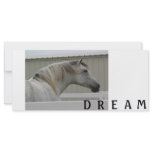 DREAM CUSTOM RACK CARDS